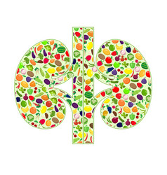 Kidneys healthy silhouette Kidneys healthy silhouette vector image
