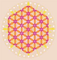 Sacred Geometry flower of life stars vector image
