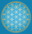 Sacred Geometry flower of life vector image