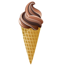 Chocolate icecream vector image