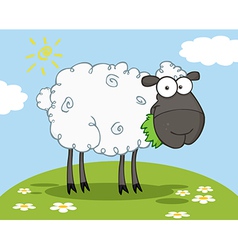 Black Sheep Cartoon Character vector image