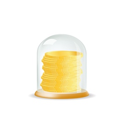 Coins covered with a glass cover vector image