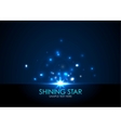 Shining star vector image