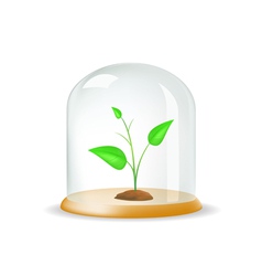 Plant under the hood vector image