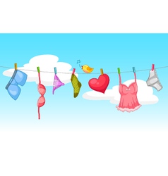Sexy laundry vector image