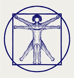 Vitruvian man vector image