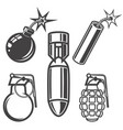 Set of bomb grenade dynamite stick on white vector image