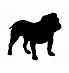 Silhouette of an english bulldog vector image