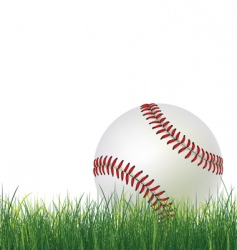 Baseball ball vector image
