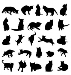 Cat design vector image