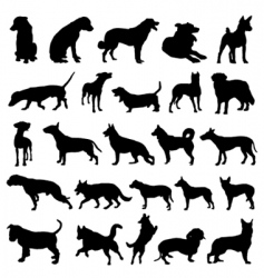 Dog design vector image