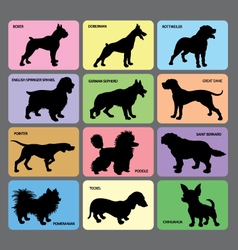 Dog silhouette cards 1 vector image