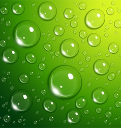 Water drops vector image