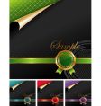 Royal design with golden seal vector image