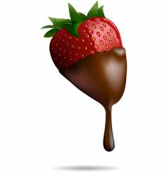 Chocolate dipped strawberry vector image