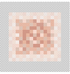 Censor blur effect on transparent background gray Vector Image