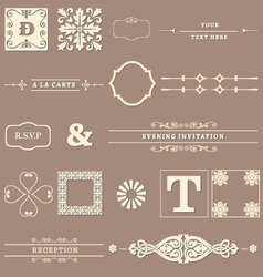 Calligraphy elements vector image
