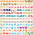 Animals silhouettes collection vector image