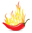 Hot chilli pepper in energy fire vector image