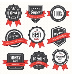 Set of retro vintage badges and labels vector image