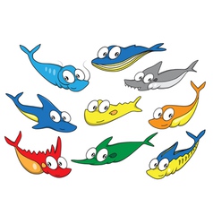 Collection of fish Collection of fish vector image
