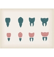 Teeth icons vector image