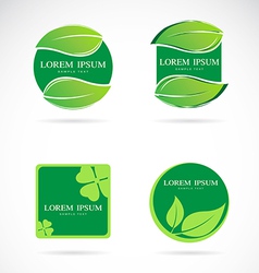 Leaf frame vector image