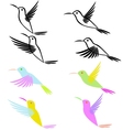 Hummingbird vector image