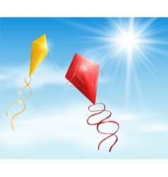 Two kite vector image