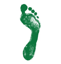 Footprint vector image
