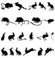 Rodents silhouettes vector image