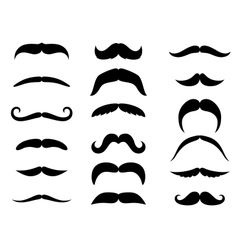 Black moustaches vector image