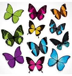 Set of colorful butterflies vector image