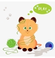 Kitten vector image