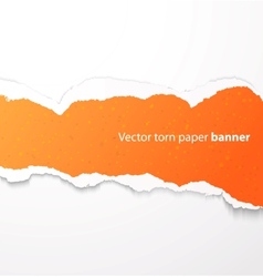 Torn paper banner vector image