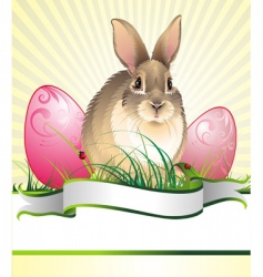 Easter bunny vector image