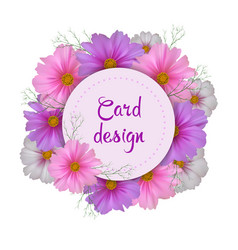 Cosmos flower card design round invitation vector image