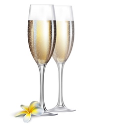 Champagne glasses vector image