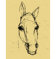 Horse sketch on paper vector image