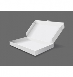 Packaging box vector image