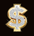 Dolllar bling bling vector image