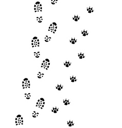 Foot prints vector image