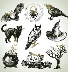 Hand drawn halloween set vector image