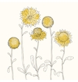 Sunflowers vector image