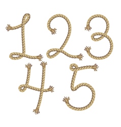 Rope number alphabet vector image