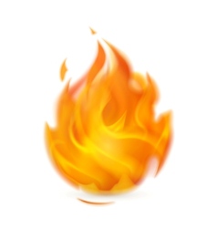Fire icon vector image