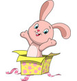 Sweet funny bunny Sweet funny bunny vector image