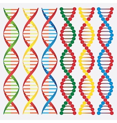 DNA molecule vector image
