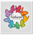 Multicolored butterflies vector image