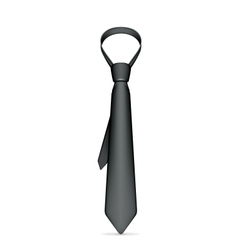 Necktie vector image